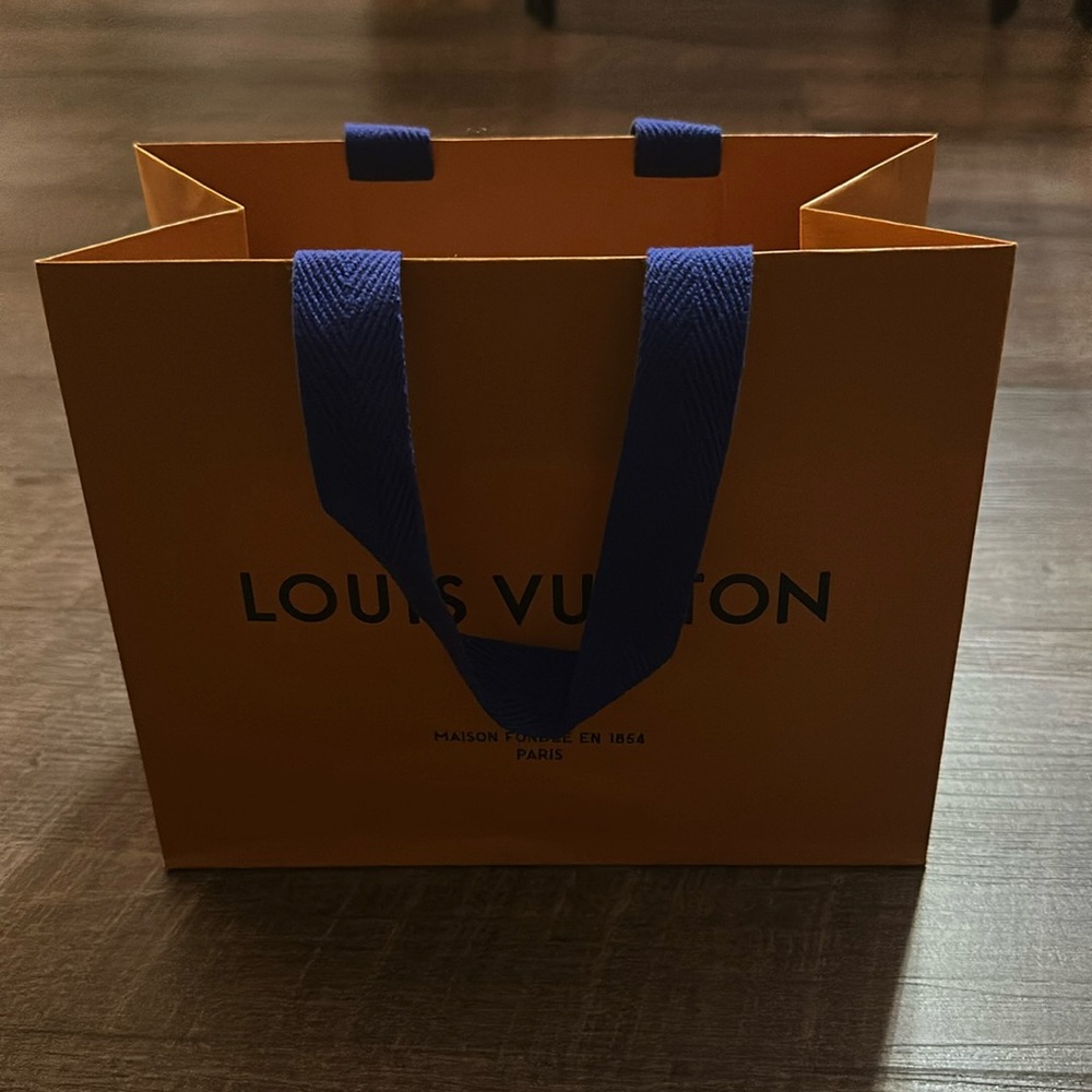 Louis Vuitton paper shopping bag - used